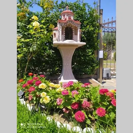 Viktoria Halkidiki * Nea Silata