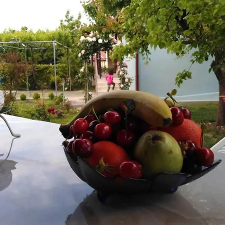 Vilă Viktoria Halkidiki