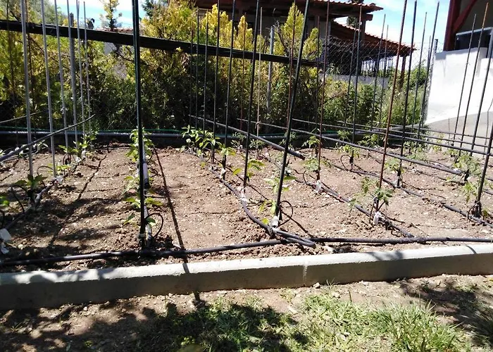 Viktoria Halkidiki 别墅 *