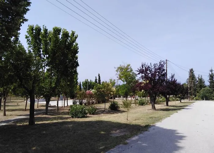 Viktoria Halkidiki 别墅 *