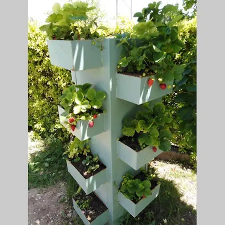 Vila Viktoria Halkidiki *