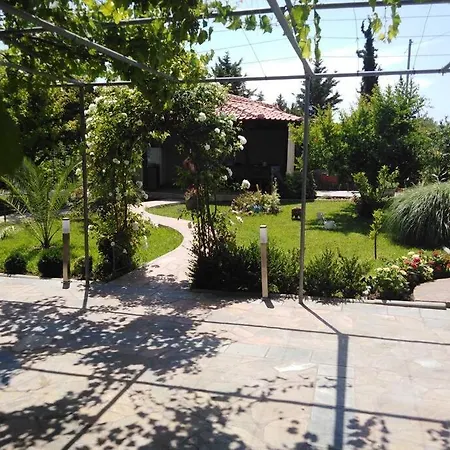 Viktoria Halkidiki *