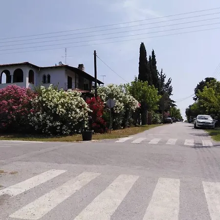Vila Viktoria Halkidiki *