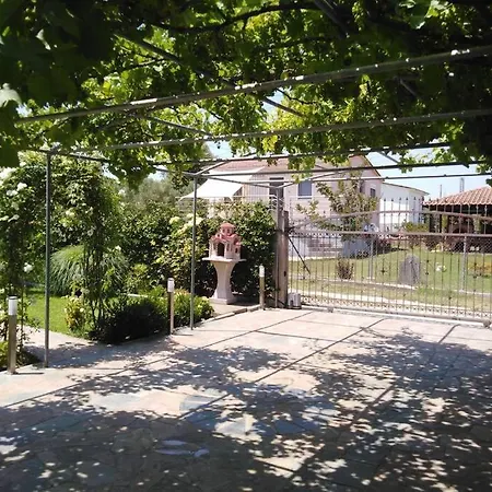 Viktoria Halkidiki Vila *