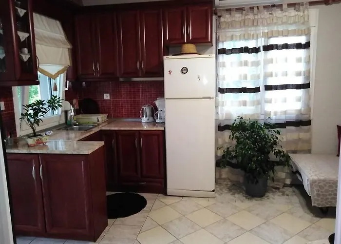 Viktoria Halkidiki 빌라 Nea Silata