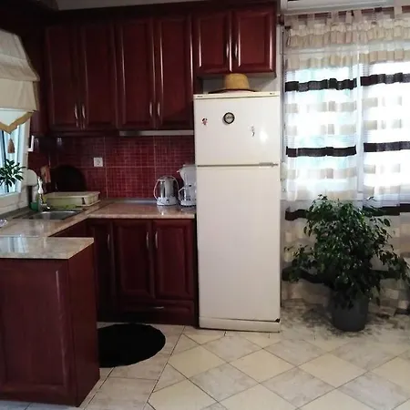 Viktoria Halkidiki Villa Nea Silata